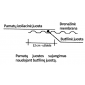 Foundation insulation membrane Fortex PAM 0.25 m x 50 m