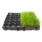 GRASS MESH G40, 38.5 x 38.5 x 40 cm, 0.148 m2